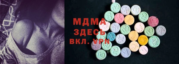 амф Гусев