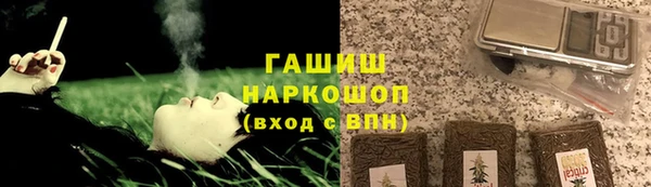 амф Гусев