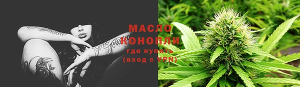 амф Гусев