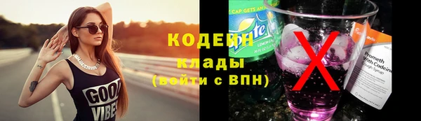 амф Гусев