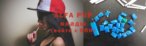 амф Гусев