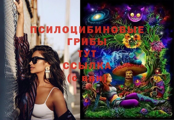первитин Гусь-Хрустальный