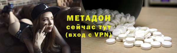 амф Гусев
