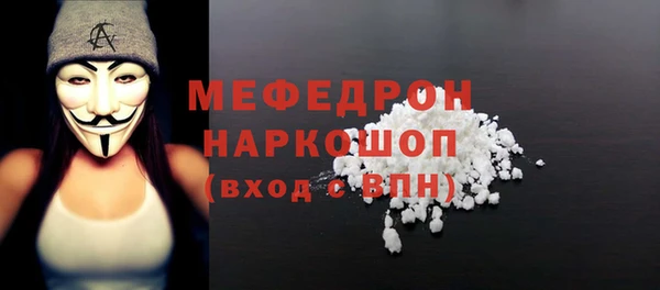 амф Гусев