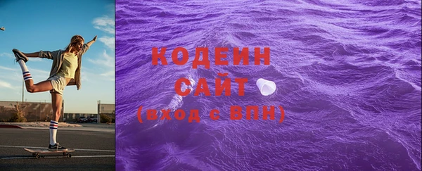 амф Гусев