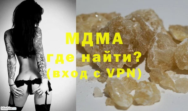 амф Гусев