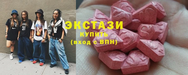 амф Гусев
