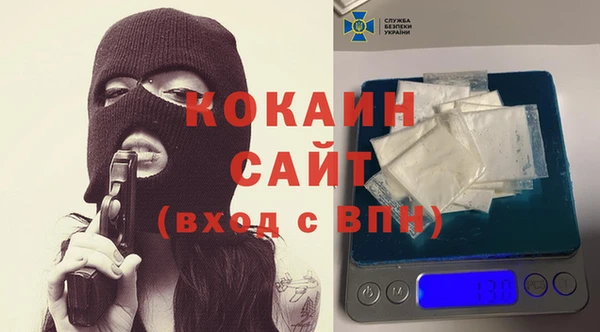 амф Гусев