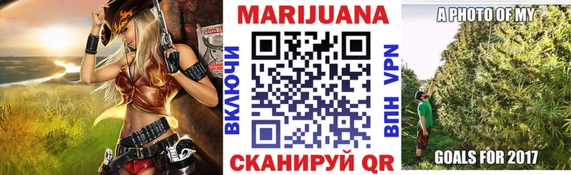 Каннабис индика Можга